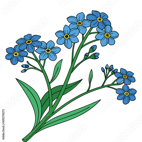 Illustration of blue forget-me-not flowers with green leaves on a white background