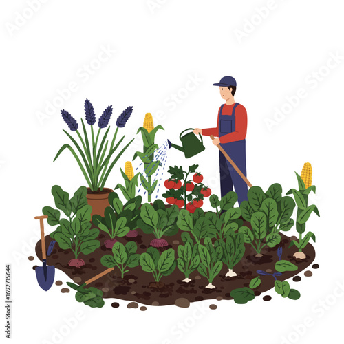 A 2D flat vector shows a person watering a lush vegetable garden, abundant with ripe tomatoes, fresh spinach, and corn, with tools nearby on a white background.