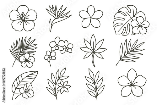 Tropical Flower Icons. Line style icons of tropical flower silhouettes: hibiscus, bird of paradise, plumeria, frangipani; monstera
