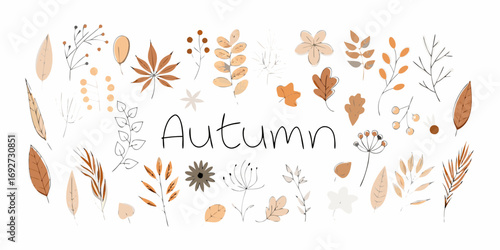 Hand drawn autumn leaves and floral elements in warm earthy tones with the word autumn