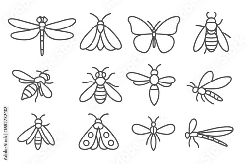 Winged Insect Icons. Line style icons of winged insects: four-wing dragonfly, translucent moth, fluttering butterfly, folded-wing