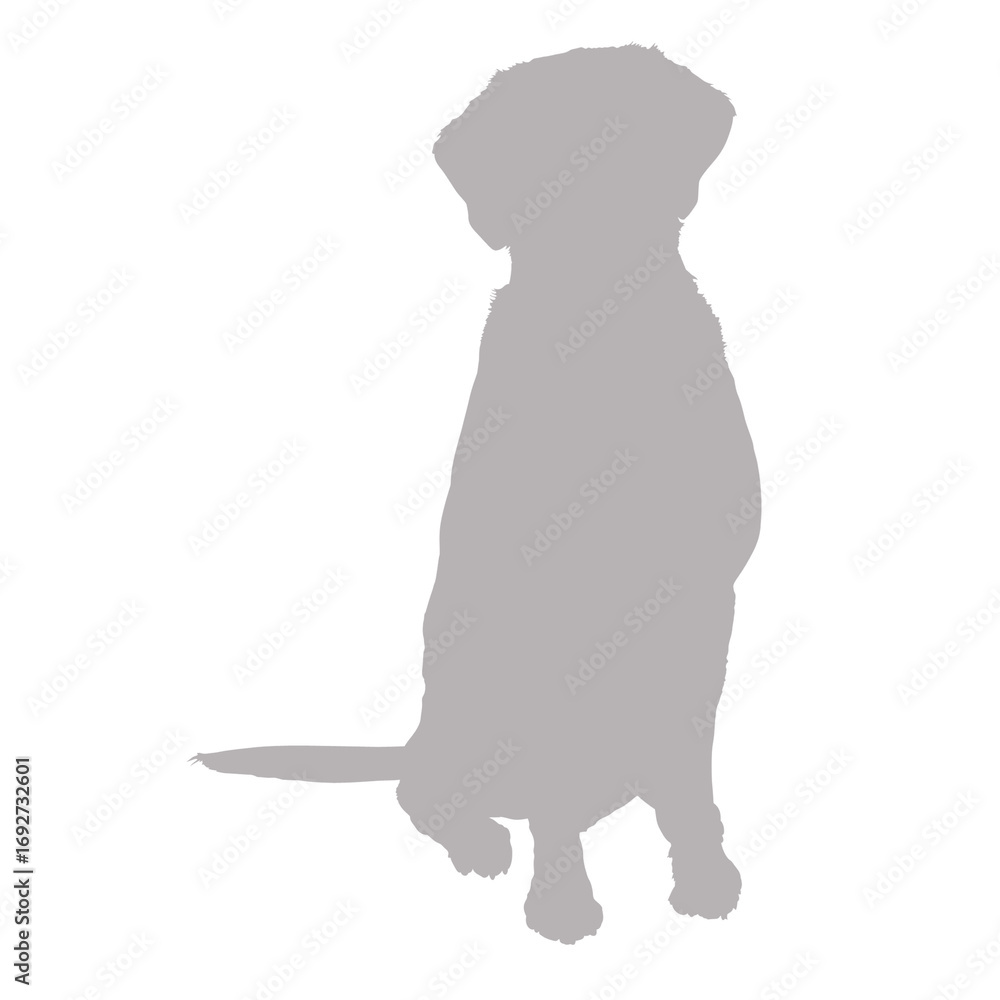 Obraz premium Sitting dog silhouette against black background