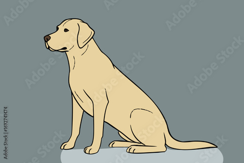 Golden retriever puppy sitting isolated on white background vector illustration