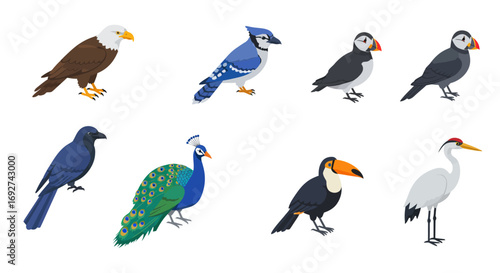 Diverse birds collection featuring eagles, peacocks, and more in flat design