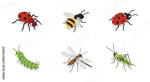 Diverse collection of insects in isometric view with ladybugs, bee, caterpillar, mosquito