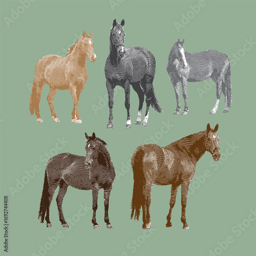 Horse, horse vector, horse illustration, line drawing on green background.