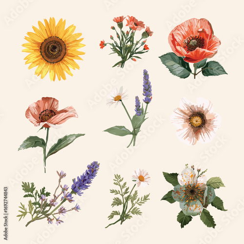 Bright watercolor sunflower and poppy collection, wild garden flowers clipart, artistic floral PNG illustration