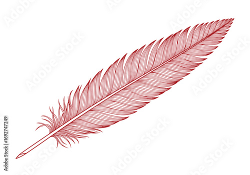 A delicate red feather displays intricate patterns against a plain background