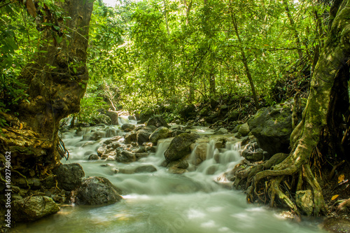 Green river water in Watuondo waterfall is derived from the green algae
