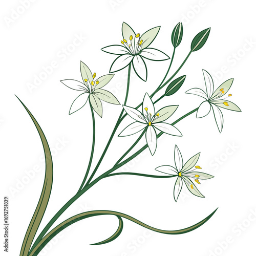 Stylized White Star Flowers with Green Stems and Leaves on White Background Keywords: white flowers, star flowers, stylized
