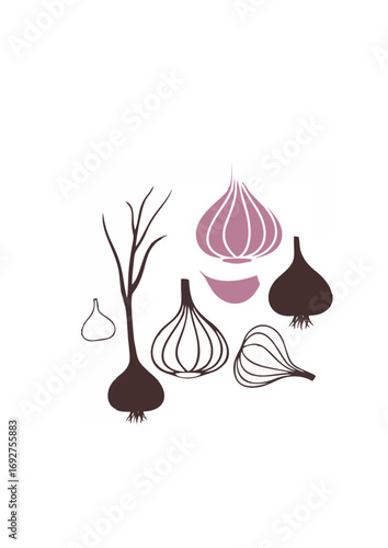 Allium Bulb Symbol.ai