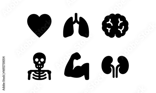 Set of medical icons: heart, lungs, brain, skeleton, muscle, kidneys in silhouette style