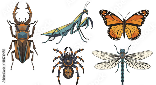 Stylized diverse insect and arachnid collection vibrant vector art beetle mantis butterfly spider dragonfly nature wildlife isolated