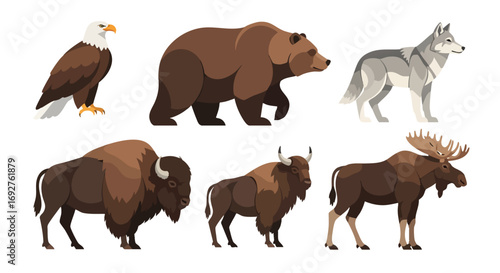 North American wild animals cartoon vector graphic collection isolated eagle bear wolf bison moose wildlife nature fauna