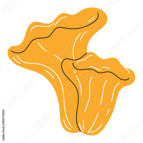 Chanterelle forest mushrooms wild edible fungi autumn woodland illustration
