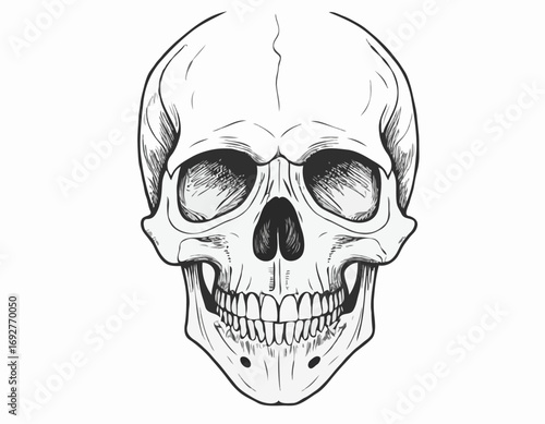 Human skull in colors sketch hand drawn in doodle style Vector illustration.