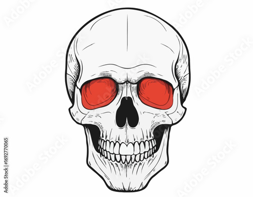 Human skull in colors sketch hand drawn in doodle style Vector illustration.