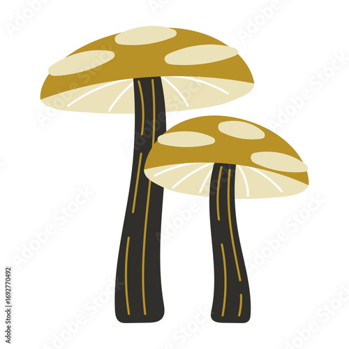 Forest spotted mushrooms with wide caps illustration