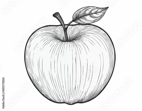 Apple fruit sketch hand drawn engraving style Vector illustration