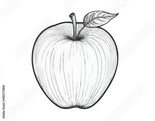 Apple fruit sketch hand drawn engraving style Vector illustration