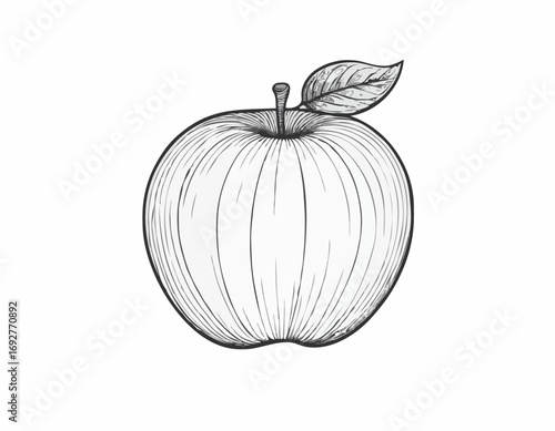 Apple fruit sketch hand drawn engraving style Vector illustration