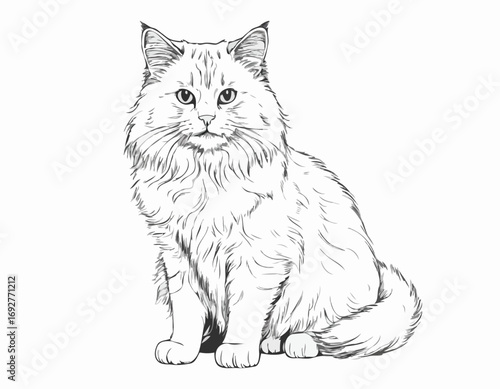 Fluffy cat sitting hand drawn sketch Pets Vector illustration