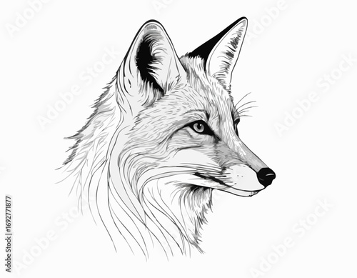 Beautiful fox sketch hand drawn Vector illustration Wild animals