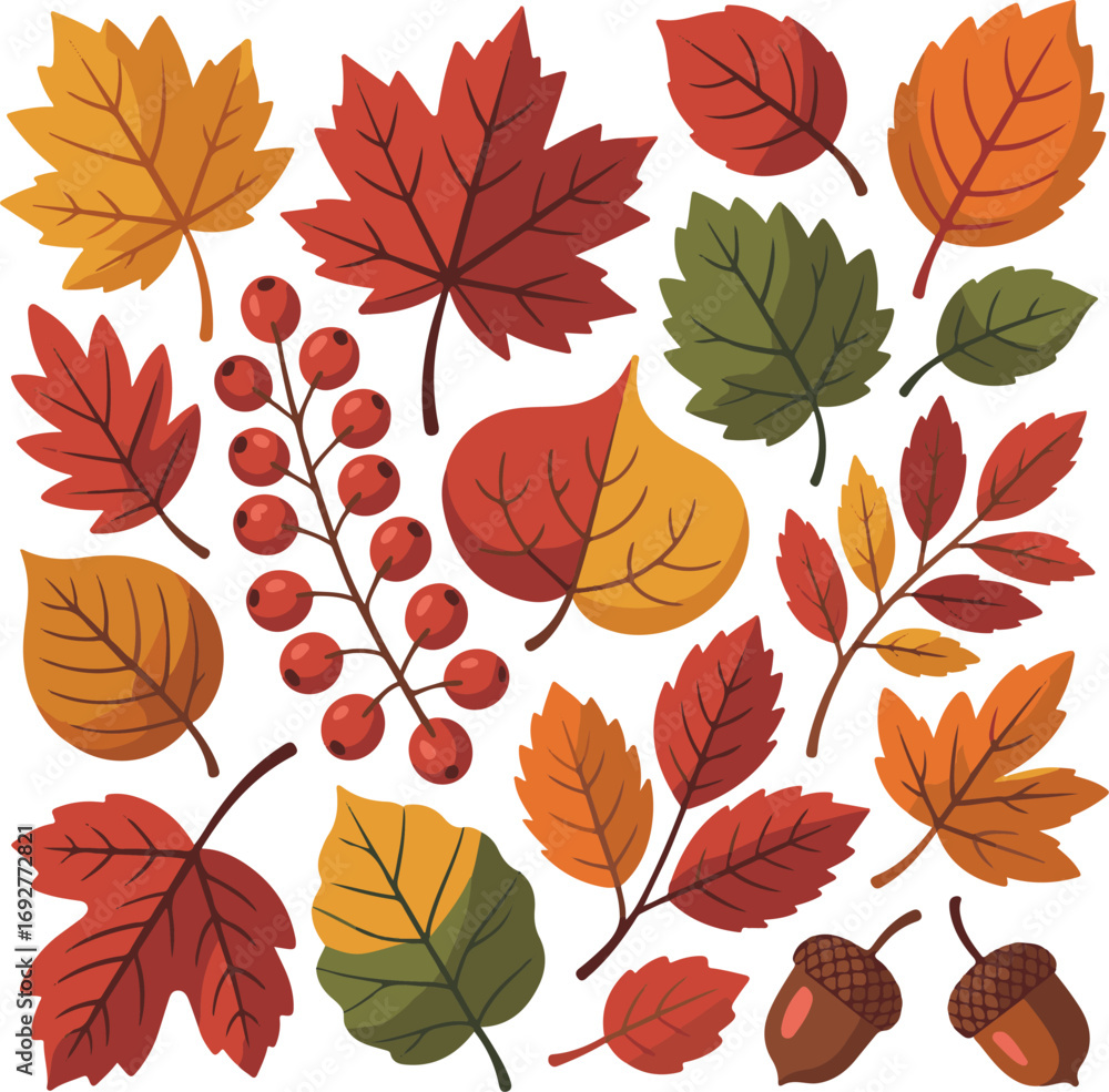 Obraz premium Vibrant autumn leaves and berries collection in a flat design style