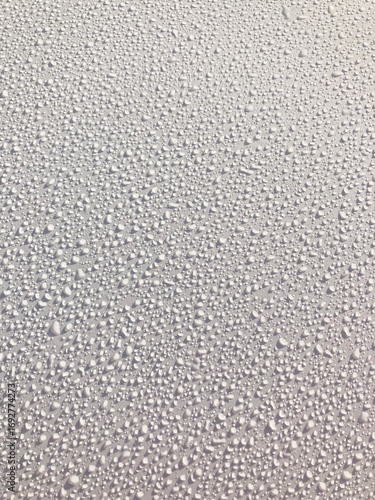 gotas de rocio por la mañana lluvia encima de un capó blanco de un coche IMG_2716-as25