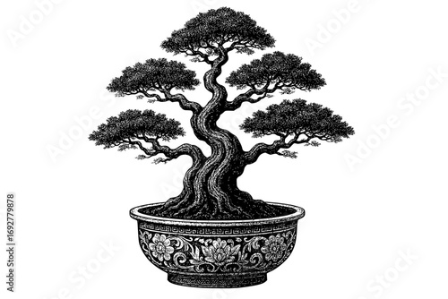 Bonsai