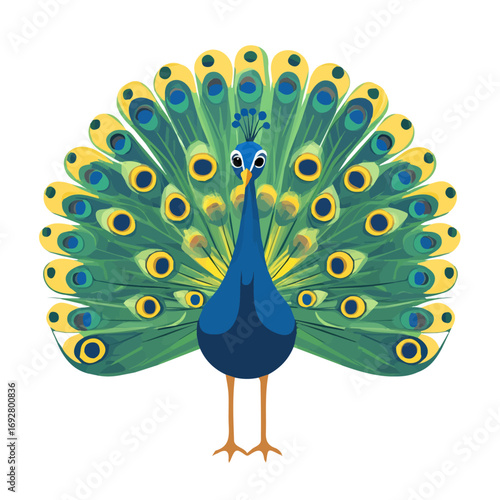 Minimal flat vector of a Peacock, 2D icon-style illustration on white background