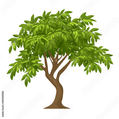 2D flat vector illustration of a Neem Tree in icon style, isolated on white background