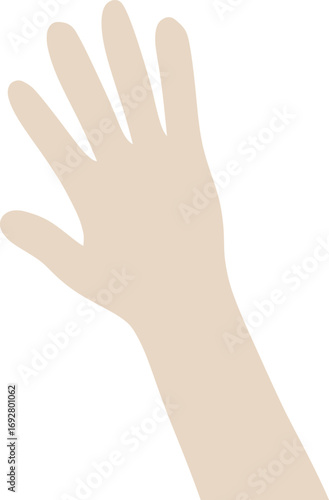 Illustration of a Hand with Five Fingers