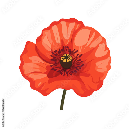 Minimal flat vector of a Poppy Flower, 2D icon-style illustration on white background