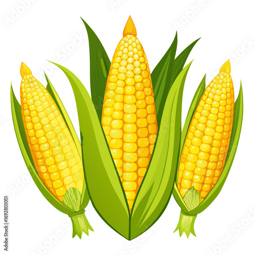 corn on a white background
