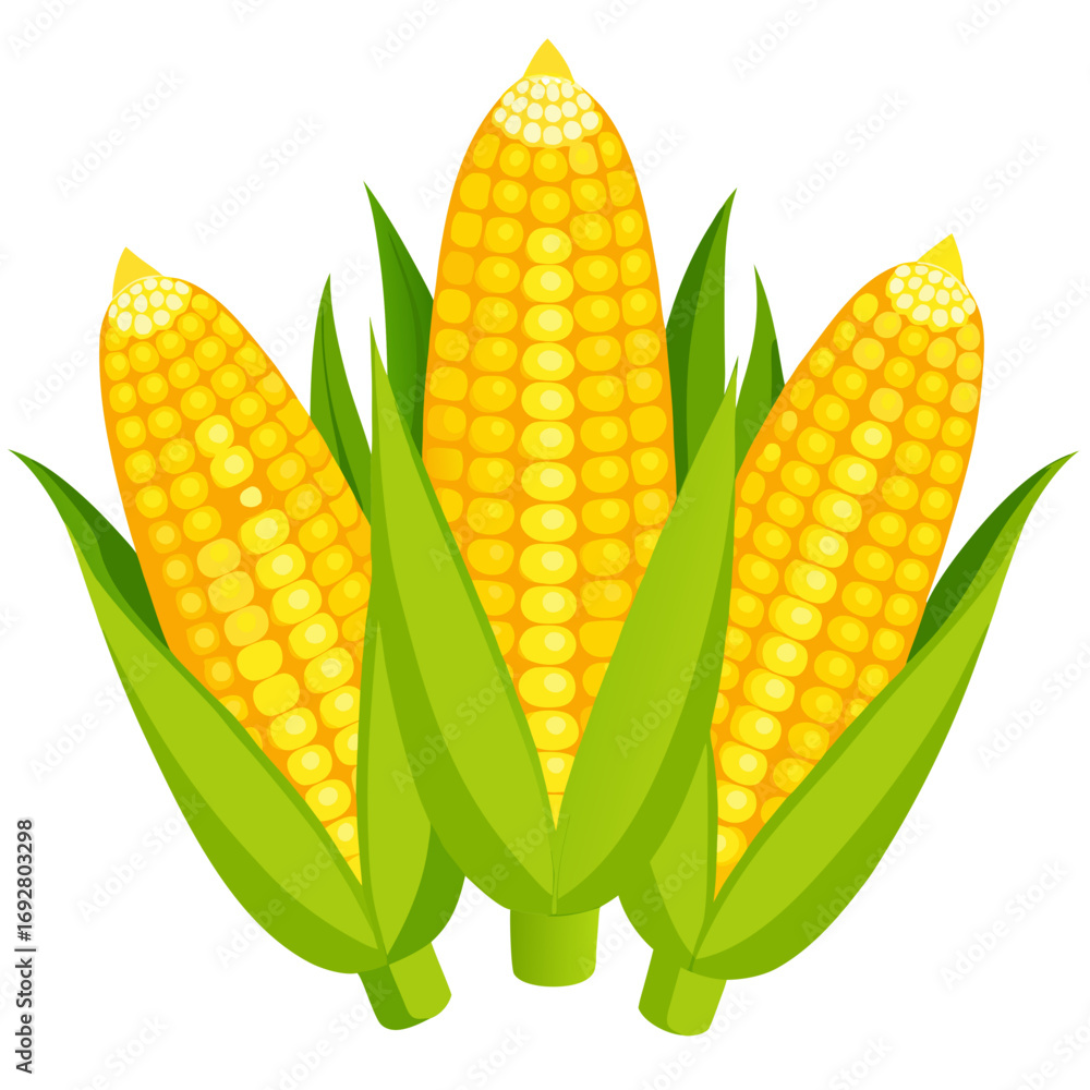 Obraz premium corn on the cob