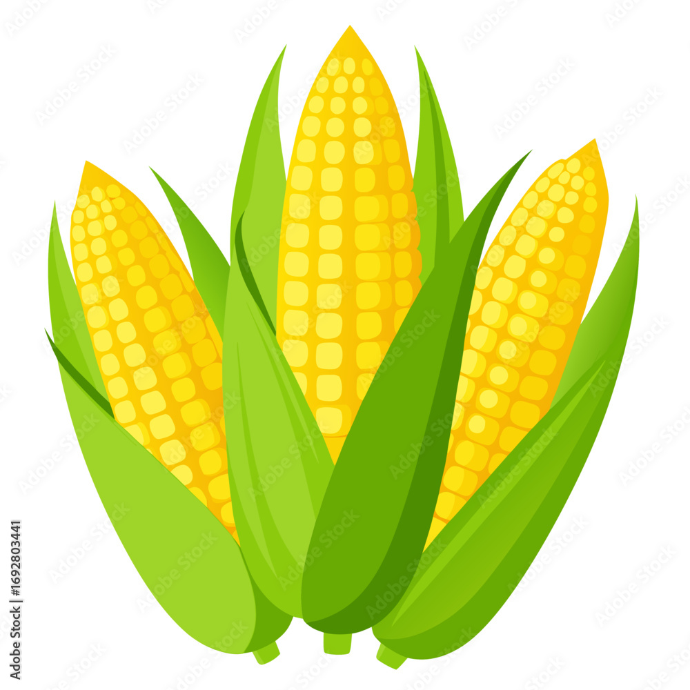 Obraz premium set of corn