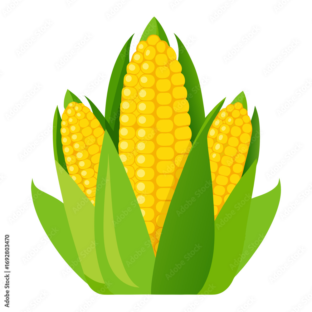 Obraz premium corn on the cob