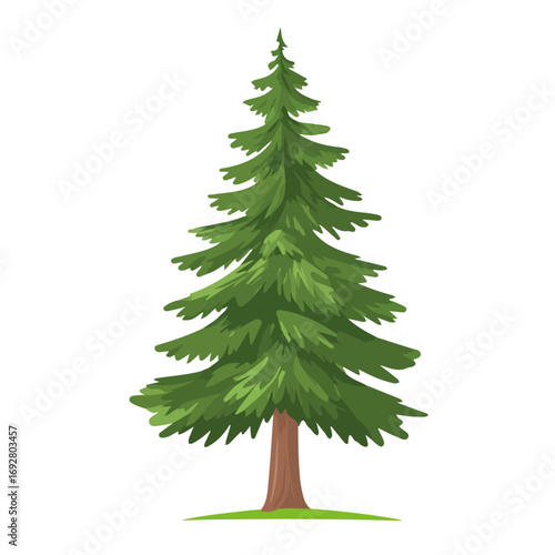 Pine Tree, flat style 2D vector image, isolated on a white background