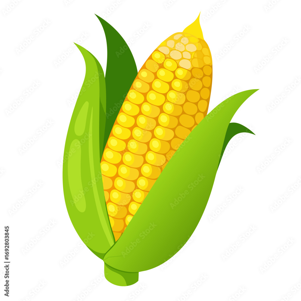 Obraz premium corn on a white background