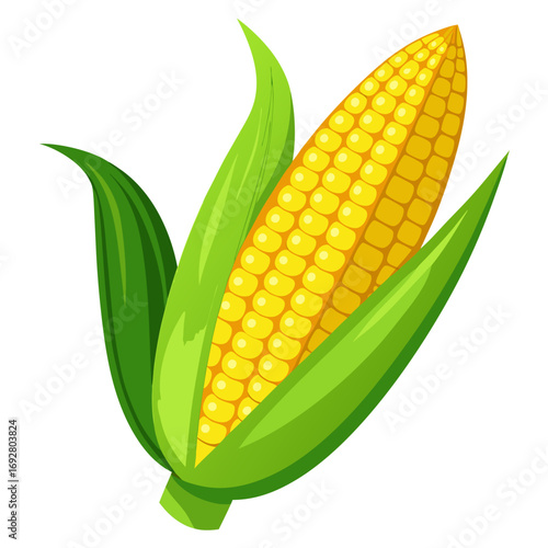 corn on a white background