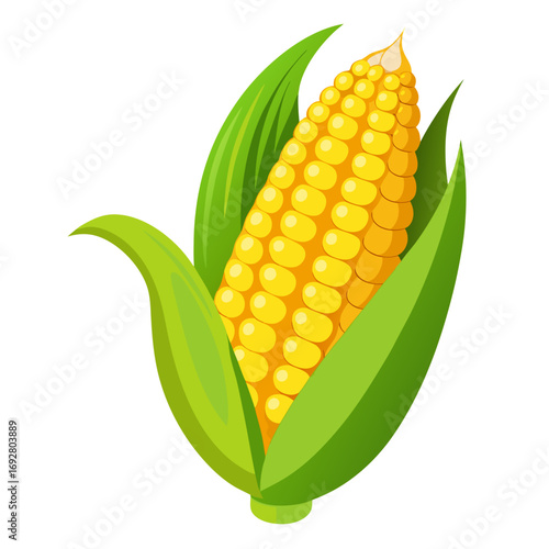 corn on a white background