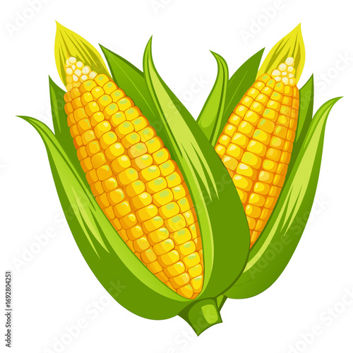 corn on a white background