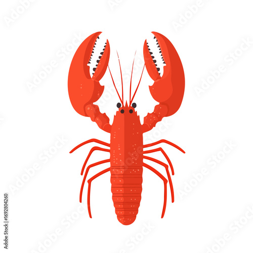 Minimal flat vector of a Lobster, 2D icon-style illustration on white background