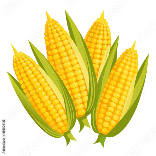 corn on the cob