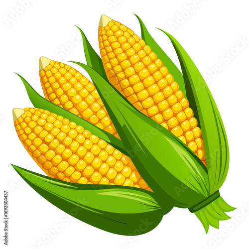 set of corn