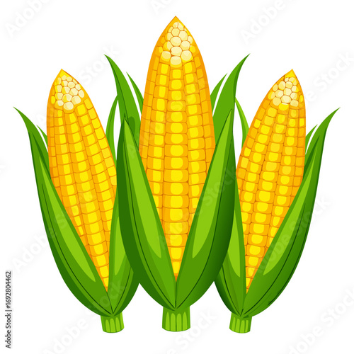set of corn