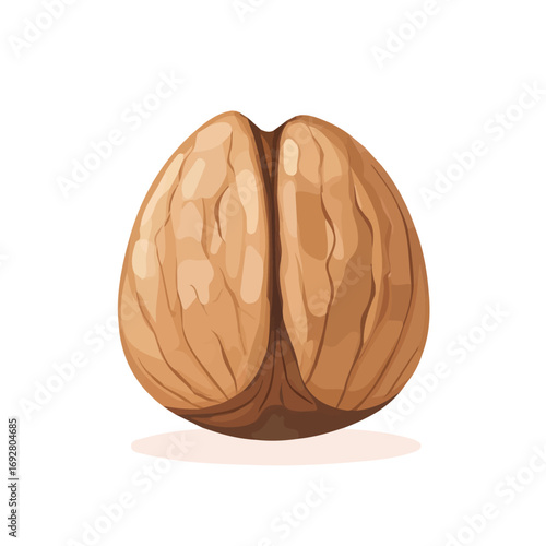Flat 2D Walnut illustration, vector graphic in icon style, on white background
