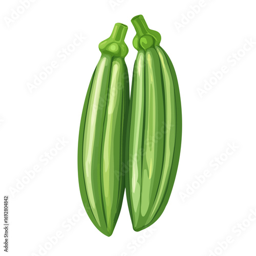 Flat 2D Okra illustration, vector graphic in icon style, on white background