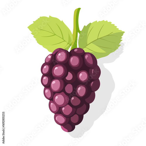Mulberry, flat style 2D vector image, isolated on a white background